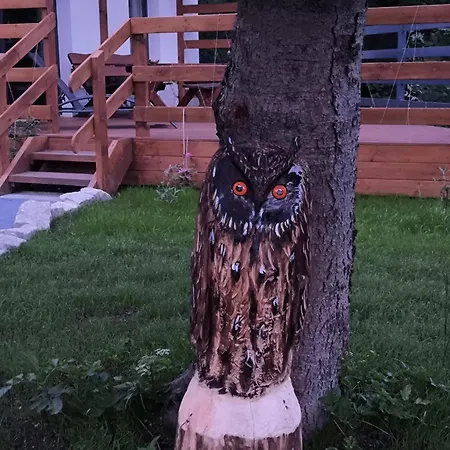 Izerski Z Tarasem Premium Casa vacanze *