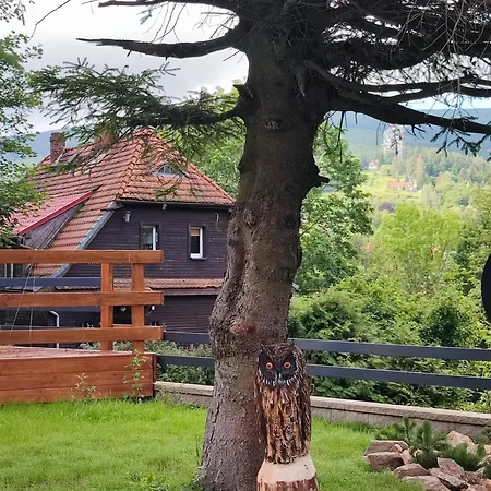 Vakantiehuis Izerski Z Tarasem Premium *